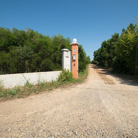 Fattoria Corte Noa Konuk evi Masainas Dış mekan fotoğraf